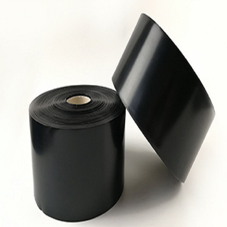 Electric Conductive Film